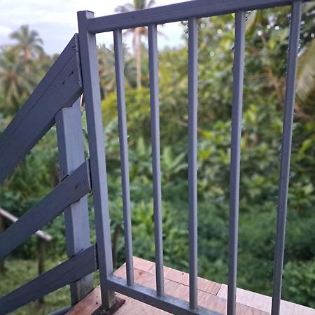 Tropical Almond Haven Bed and Breakfast Suva Exteriör bild